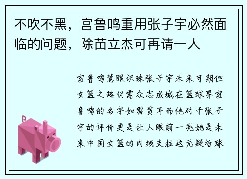 不吹不黑，宫鲁鸣重用张子宇必然面临的问题，除苗立杰可再请一人