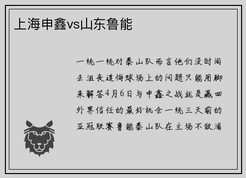 上海申鑫vs山东鲁能