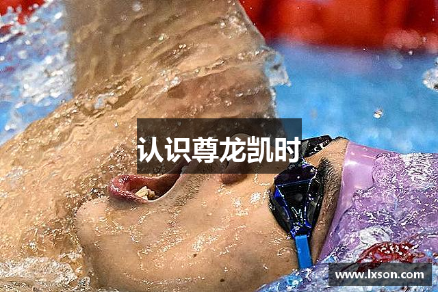 认识尊龙凯时